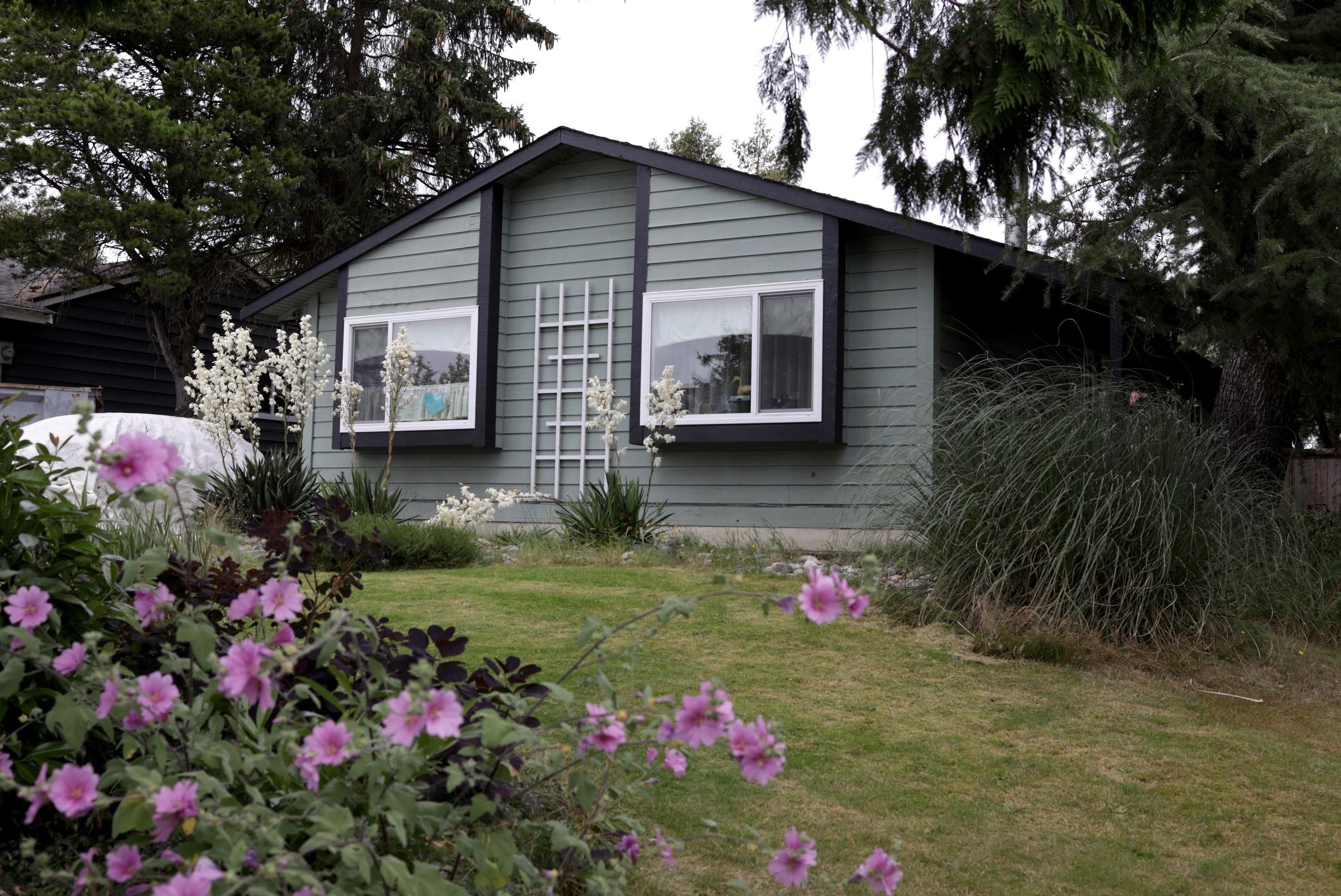 Small Family Home in the Suburbs