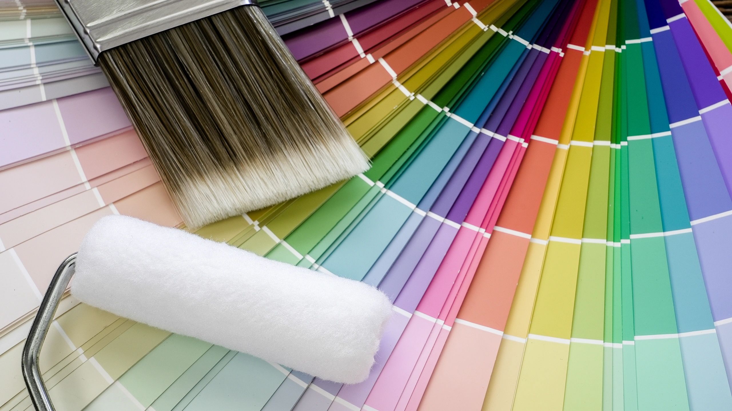 Paint brush and roller on colorful color swatches
